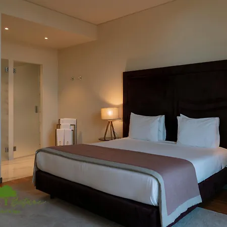 Hotel Olive Nature & - Quinta Valle De Passos 4*