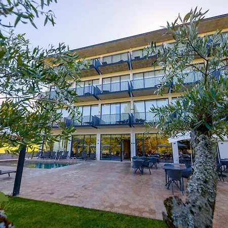 Olive Nature & - Quinta Valle De Passos Szálloda Valpaços