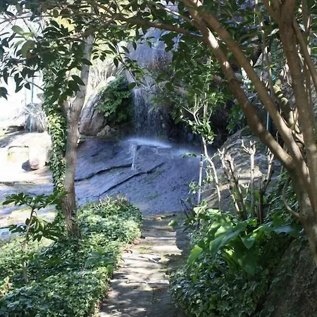 Olive Nature & - Quinta Valle De Passos