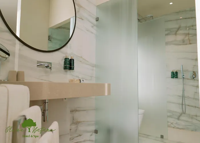 Olive Nature & - Quinta Valle De Passos 4* Valpaços