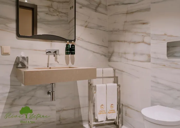 Hotel Olive Nature & - Quinta Valle De Passos