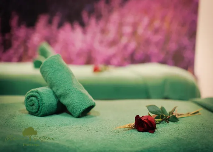 Olive Nature & - Quinta Valle De Passos Hotel 4*