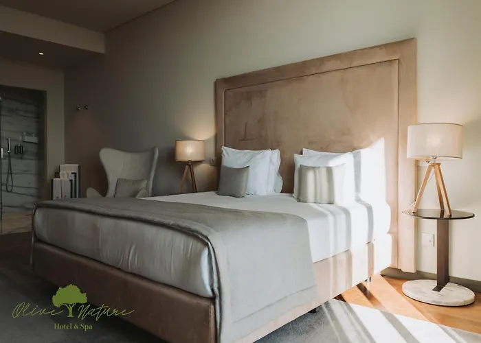 Hotel Olive Nature & - Quinta Valle De Passos 4*