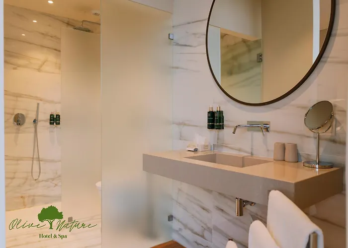 Hotel Olive Nature & - Quinta Valle De Passos Valpaços