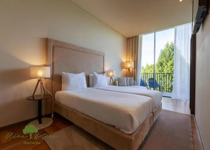 Hotel Olive Nature & - Quinta Valle De Passos 4*