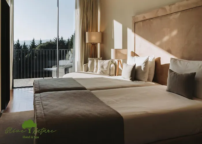 Olive Nature & - Quinta Valle De Passos Valpaços