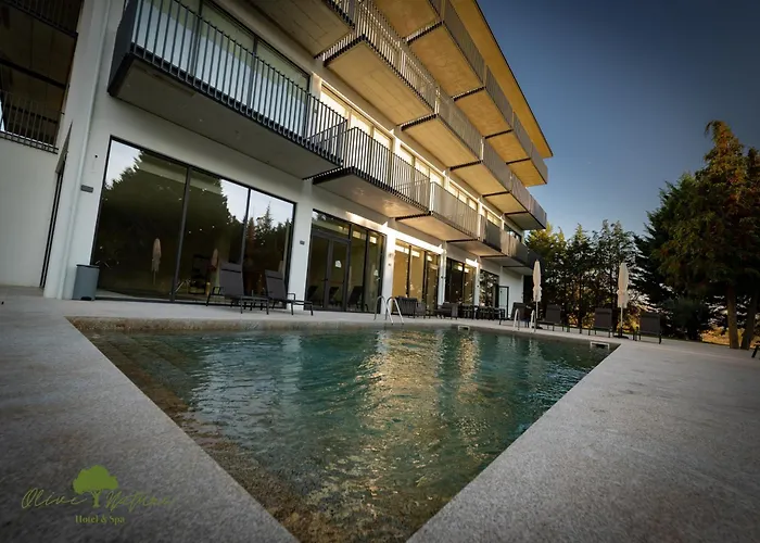 Hotel Olive Nature & - Quinta Valle De Passos 4*