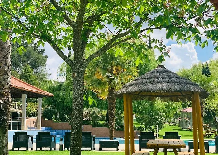 Olive Nature & - Quinta Valle De Passos Valpaços