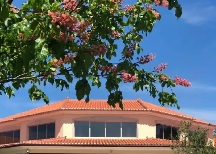 Olive Nature & - Quinta Valle De Passos 4*