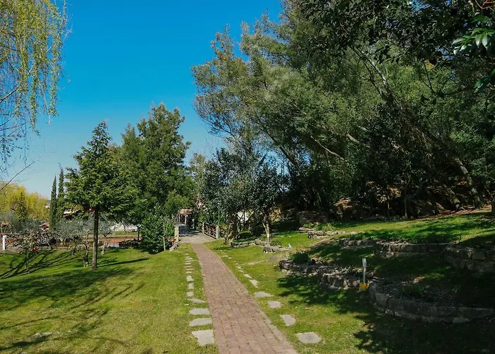 Olive Nature & - Quinta Valle De Passos Hotel