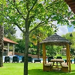 Olive Nature & - Quinta Valle De Passos Valpacos