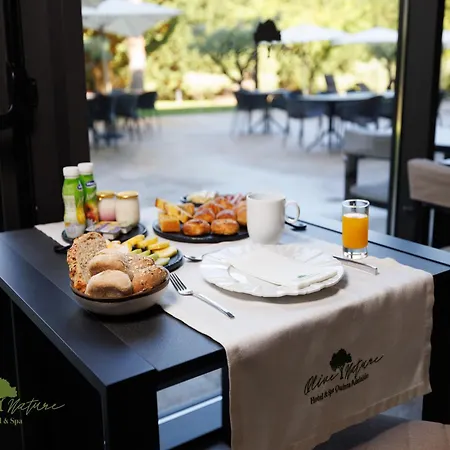 Olive Nature & - Quinta Valle De Passos Hotel 4*