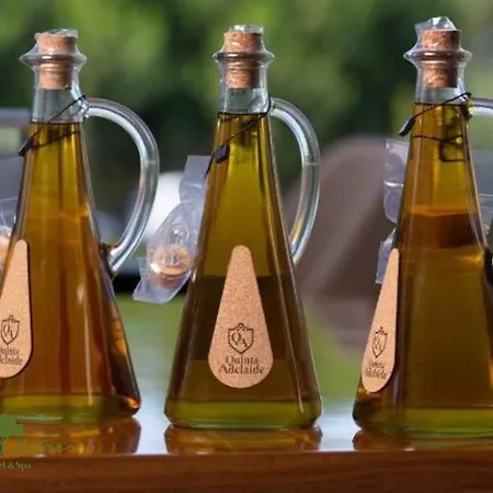Olive Nature & - Quinta Valle De Passos