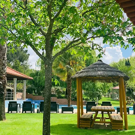 Olive Nature & - Quinta Valle De Passos Valpaços