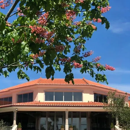 Olive Nature & - Quinta Valle De Passos 4*