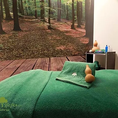 Hotel Olive Nature - Hotel&spa Da Quinta Dona Adelaide