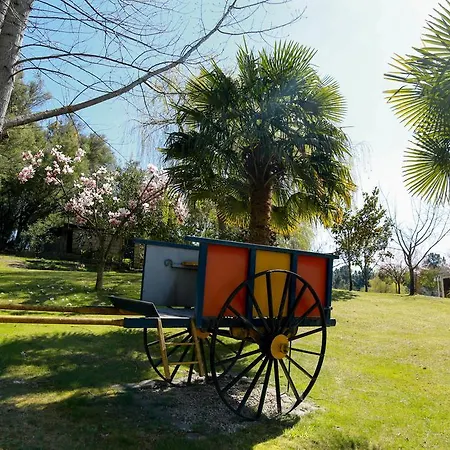 Olive Nature & - Quinta Valle De Passos 4*