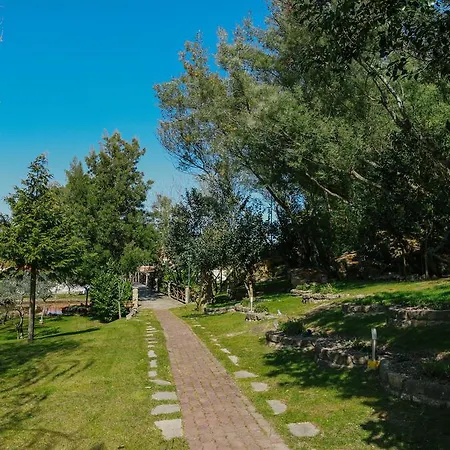 Szálloda Olive Nature & - Quinta Valle De Passos
