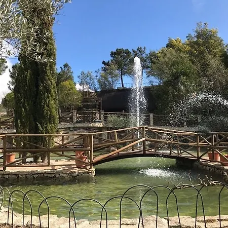 Olive Nature & - Quinta Valle De Passos Valpaços