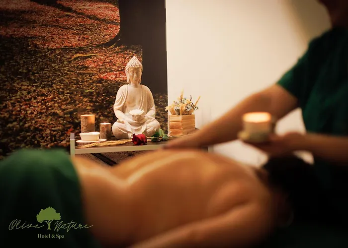 Hotel Olive Nature & - Quinta Valle De Passos