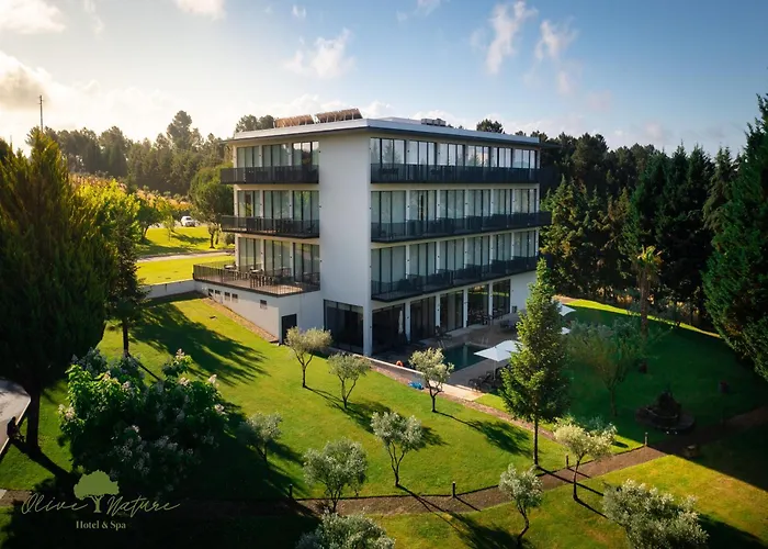 Olive Nature & - Quinta Valle De Passos