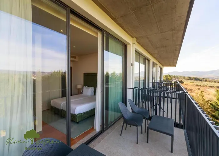 酒店 Olive Nature & - Quinta Valle De Passos 4*