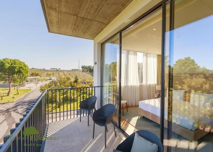 Olive Nature & - Quinta Valle De Passos 4* Valpaços