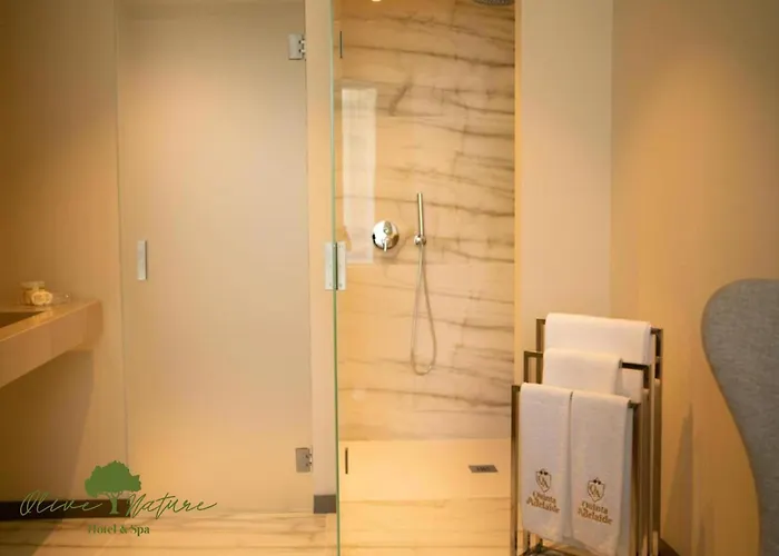 Olive Nature & - Quinta Valle De Passos 4* Valpaços