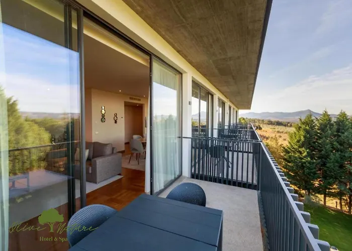 Olive Nature & - Quinta Valle De Passos