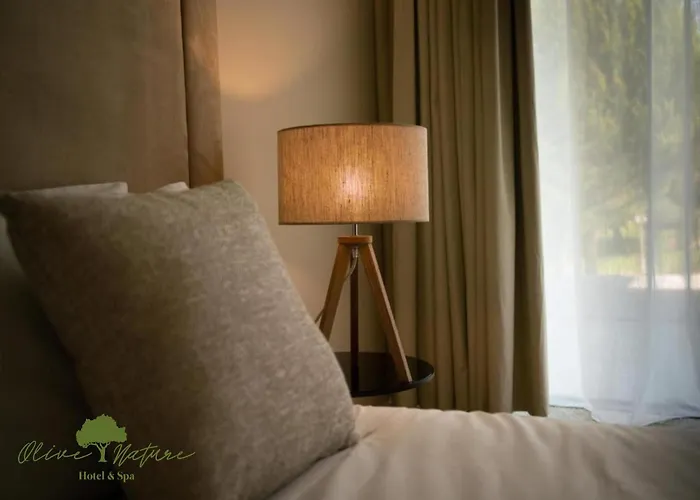 Hotel Olive Nature & - Quinta Valle De Passos Valpaços