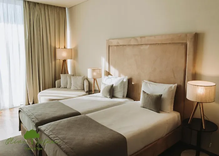 Hotel Olive Nature & - Quinta Valle De Passos 4*