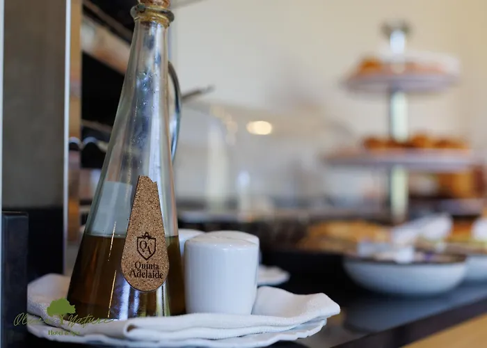 酒店 Olive Nature & - Quinta Valle De Passos Valpaços