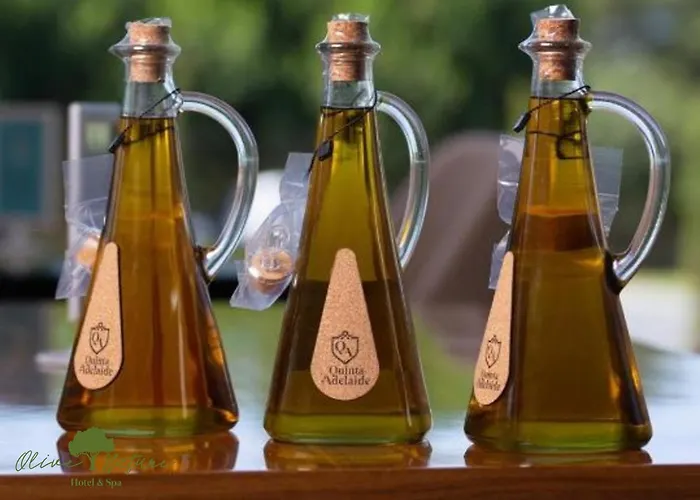 Olive Nature & - Quinta Valle De Passos