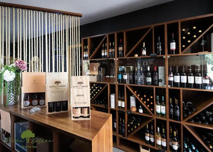 Olive Nature & - Quinta Valle De Passos 酒店