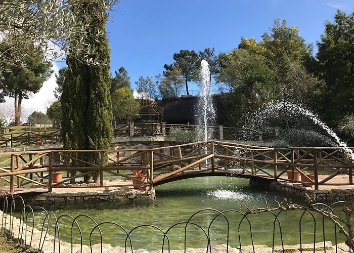 Olive Nature & - Quinta Valle De Passos Hotel 4*