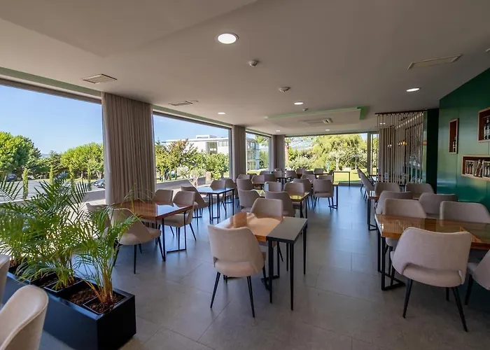 Olive Nature & - Quinta Valle De Passos Valpaços