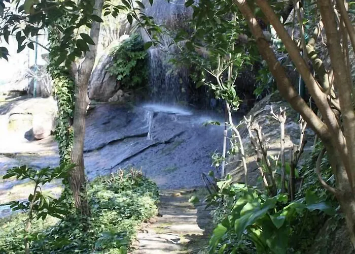 Olive Nature & - Quinta Valle De Passos