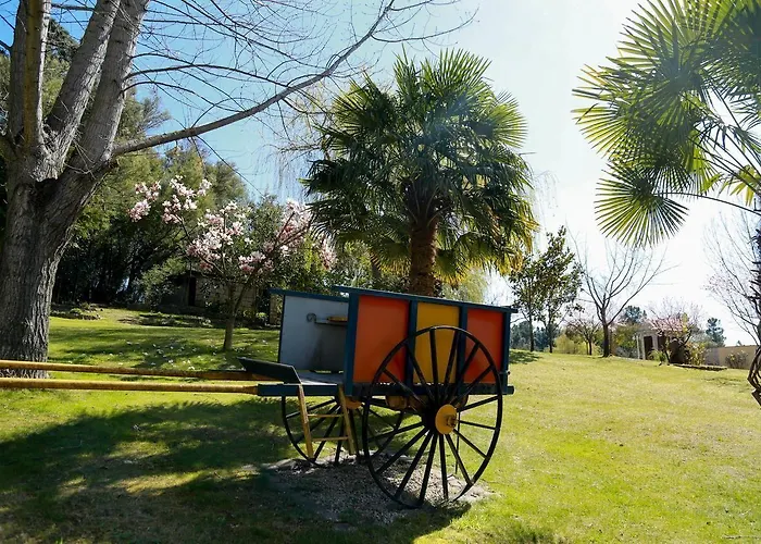 Olive Nature & - Quinta Valle De Passos 酒店